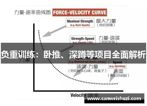 负重训练：卧推、深蹲等项目全面解析